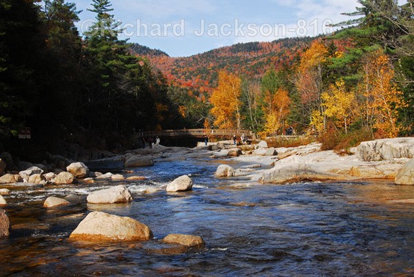 The Swift River - Out-and-About