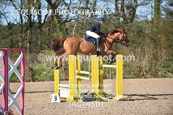 JAC_4501 - CLASS 11 SAT Andrew Hamilton Coach, RHS Foxhunter Championship Qualifier