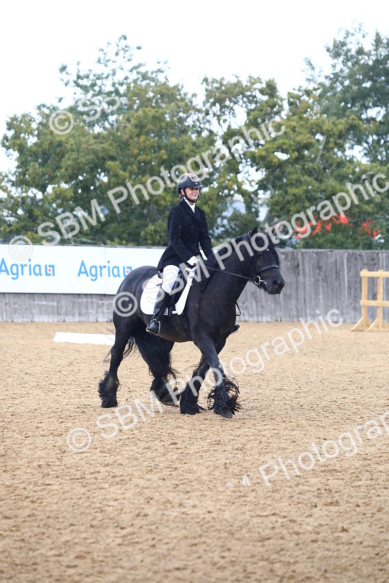 SBM_42823 - D21 - Junior Championship Intro 1