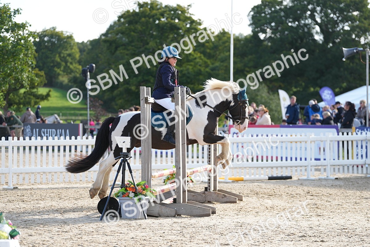 SBM_51041 - J8 - Junior Pony 65cm Championship