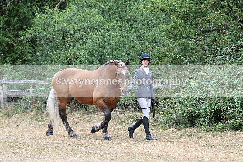 WJ7_8627 - Class 4a Prettiest Mare 14.2hh and over