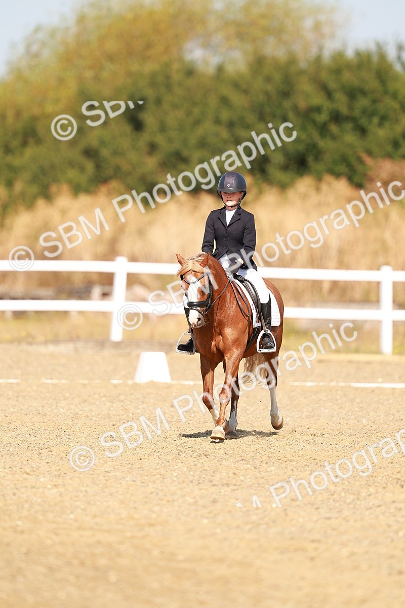 SBM_017591