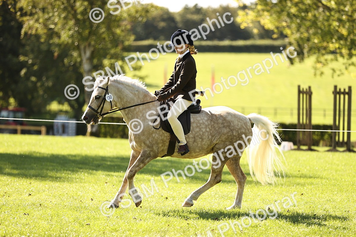 SBM_19135 - S3 - TSR Ridden Pony Showing