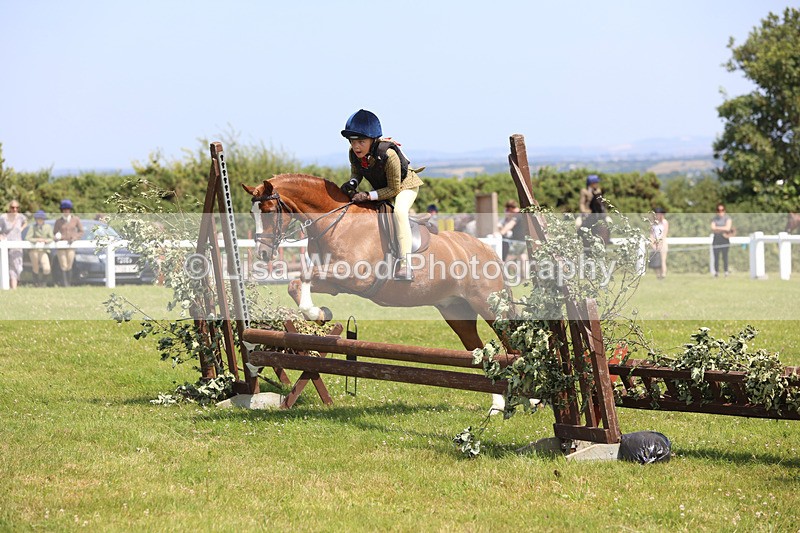 JPP_2509 - Class 21: Working Hunter 60cm