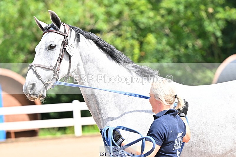 240718A-105236-00916 - Trot Up 11am to 12pm