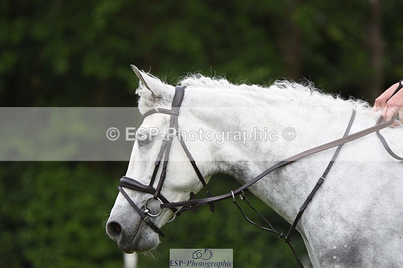 230625-115952-03102 - SJ 90cm  11.15 to 12.20