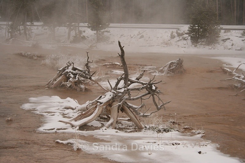  - Yellowstone