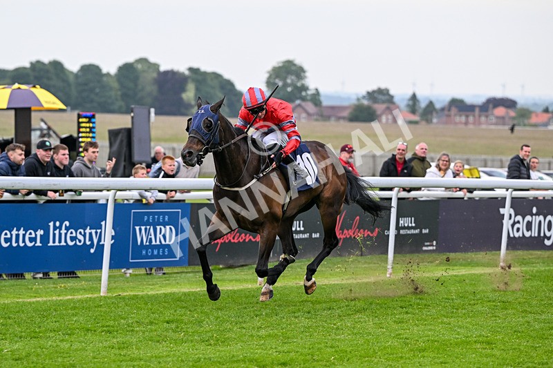 160626-Race 4-Dream Deal-4863 - Race 4 20.00pm Coachman Caravans Classic Handicap