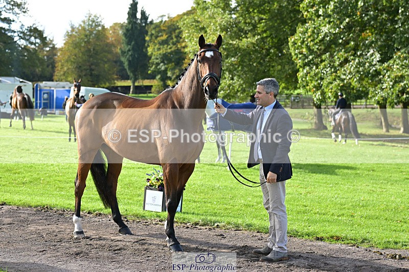 241023-131056-00115 - 006-Mark.Ford-ALVESCOT.FIVE.STAR