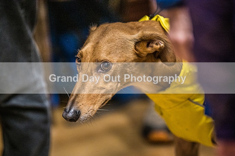 Litton-40 - Litton Christmas Cracker Fell Race Sunday 15th December 2024