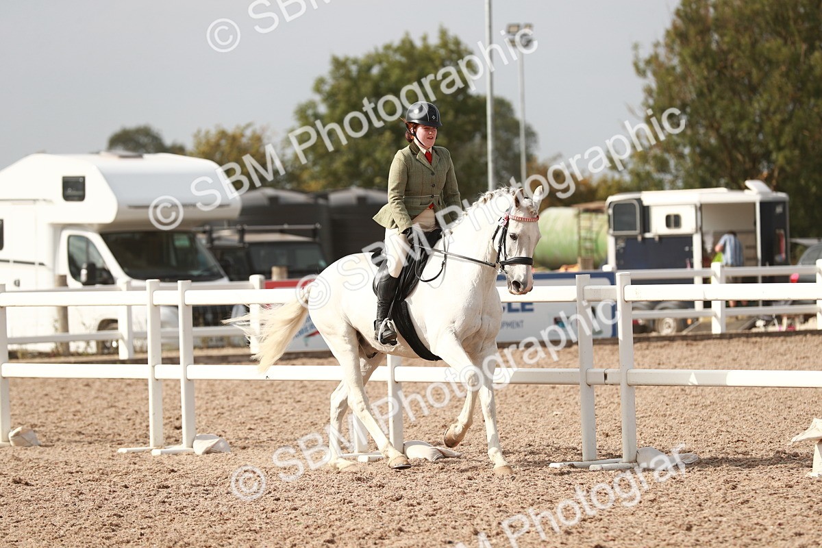 SBM_17479 - Class 215 Ridden Hack/ Riding Horse