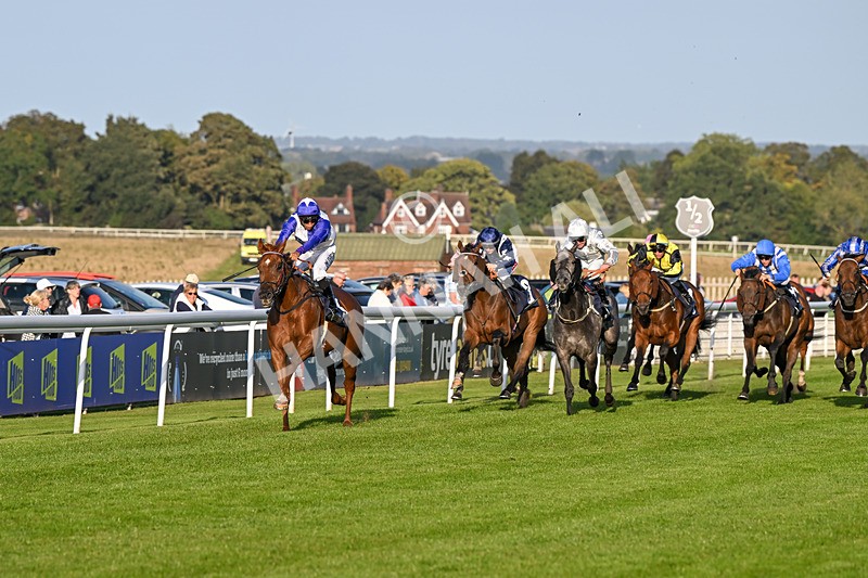 180924-Race 8-Inappropriate-5389 - Race 8