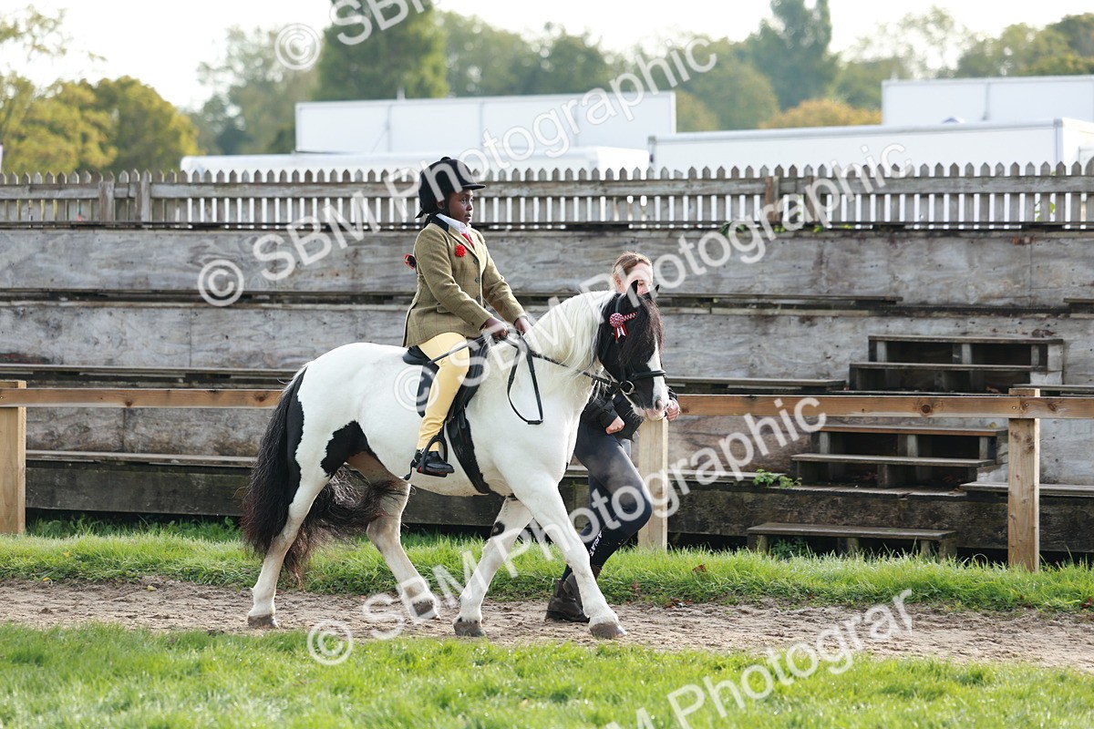 SBM_56318 - S39 - Starters In Hand Showing