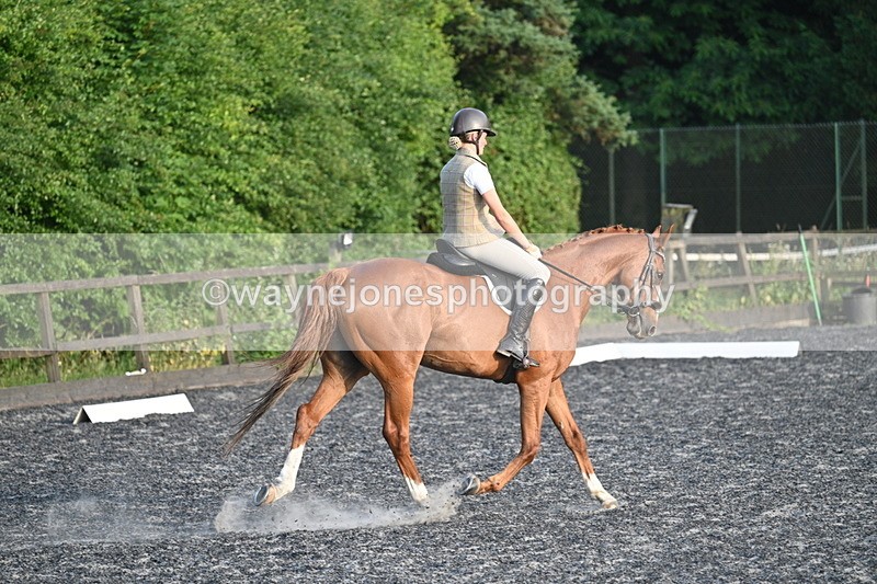 WJ7_0383 - Time 19:38 to 20:00