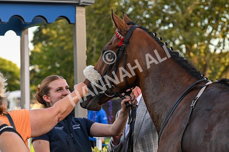 220926-Race 8-Horwich-5536 - Race 8 5.35pm End Of Season Handicap