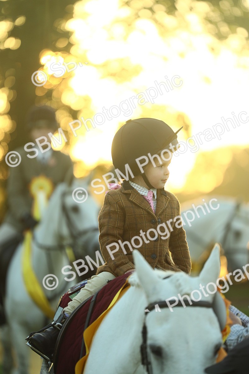 SBM_56629 - Fun & Versatile Supreme Championship