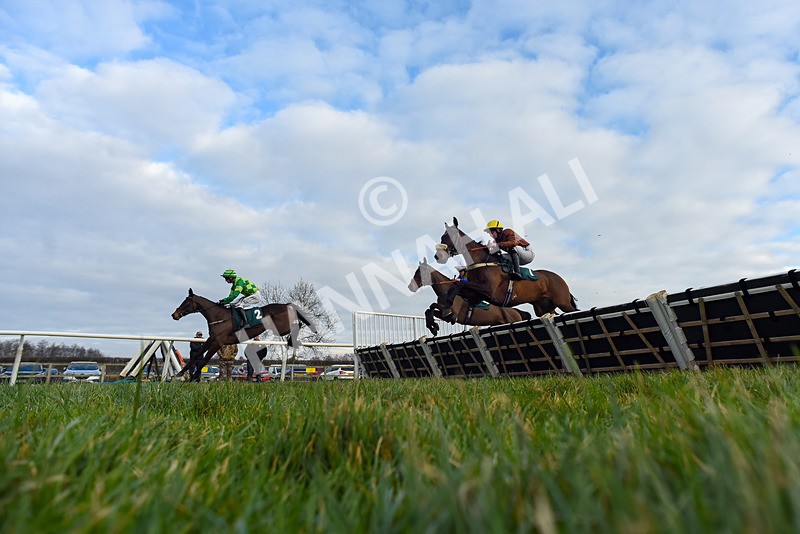 220125-Race 2-Jarrive De Mee-2816 - Race 2