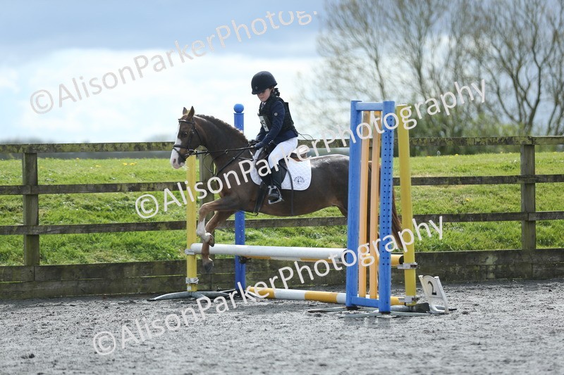 20260412-1735 - Show Jumping