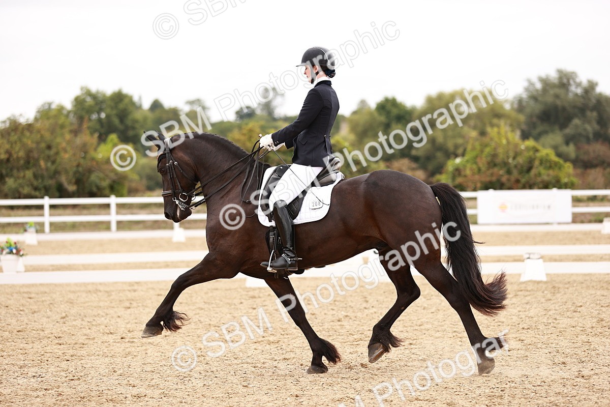 SBM_020214 - Class 22 - Advanced Medium 5