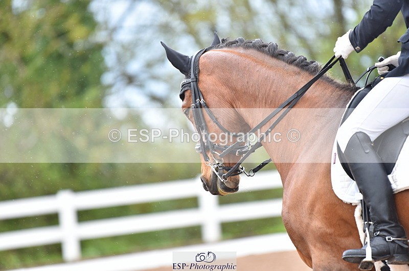 230511A-123752-00613 - BD Cls 8 Elementary 59