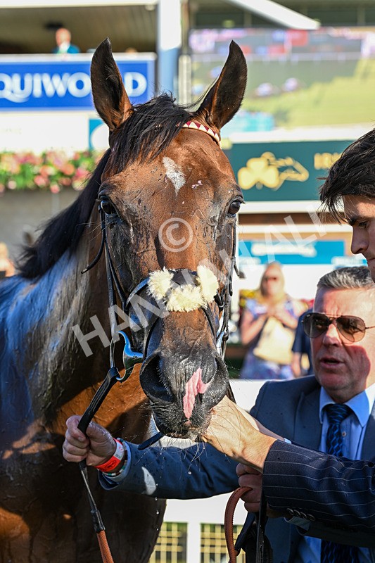 240726-Race 4-Rajaking-0507 - Race 4 19.15pm Tomahawk Handicap
