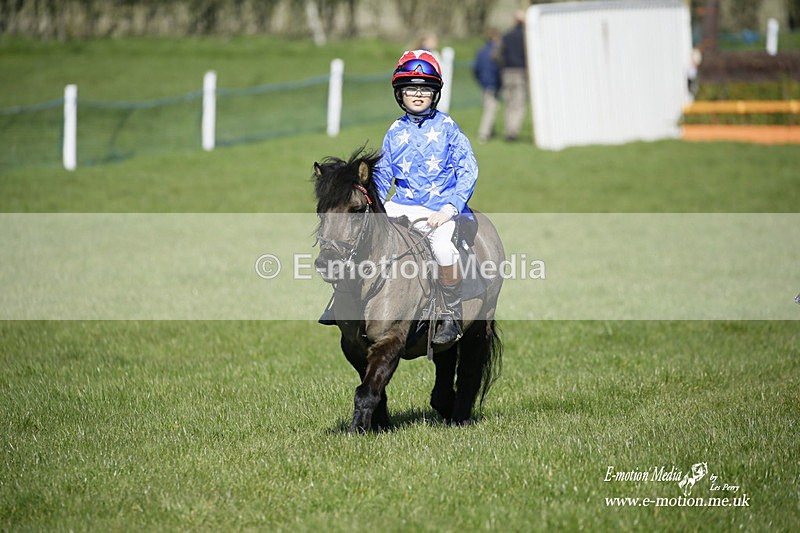 PtP 190322 46 - Wilton Hunt PtP Milborne St Andrew 19/03/22