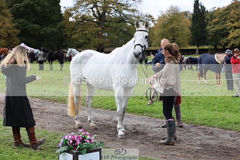 251026A-114346-25649 - F-455-Harriet.Gillam