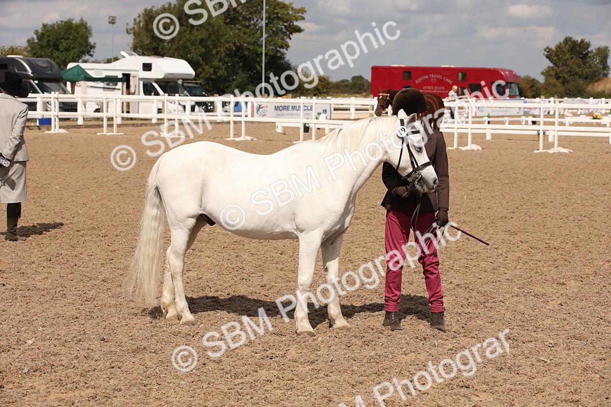 SBM_04593 - Class 20 IH Veteran