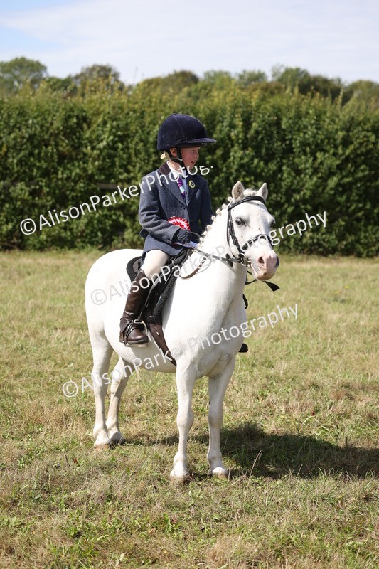 20260906-3086 - Class 18 - Childs First Pony