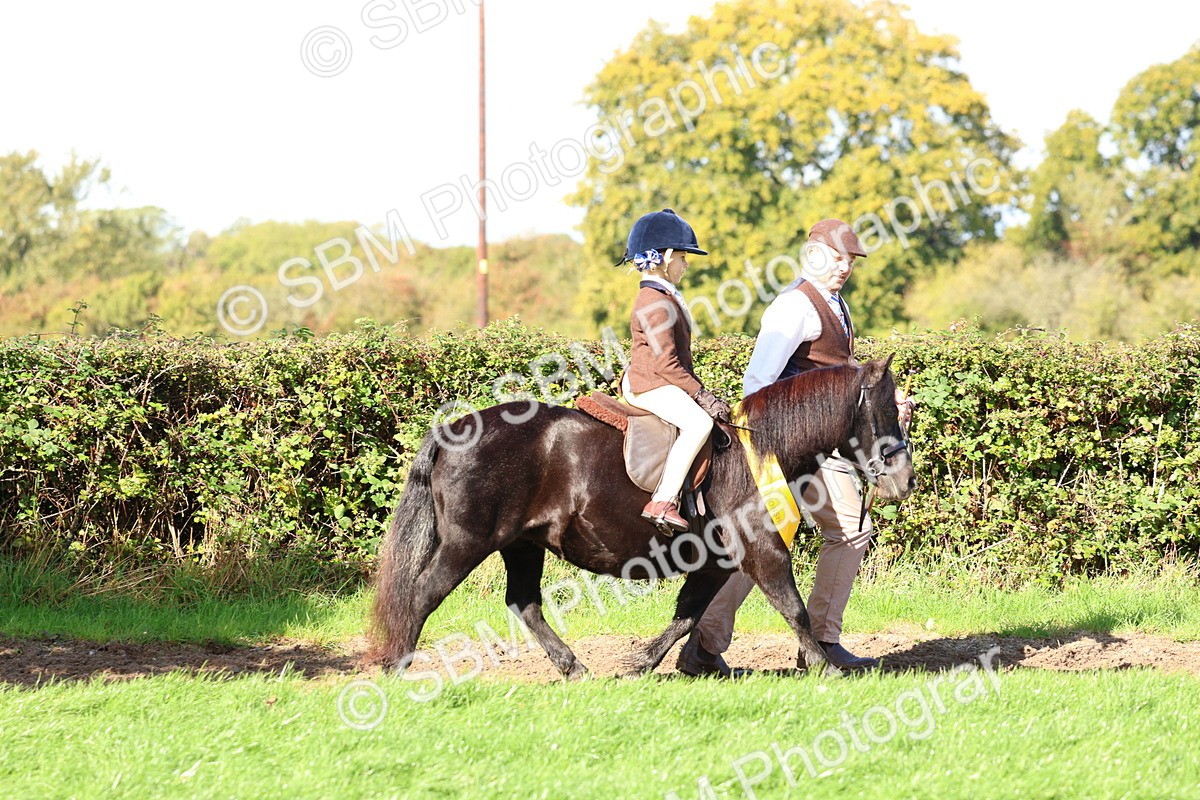 SBM_37419 - Fun Showing Supreme Championship