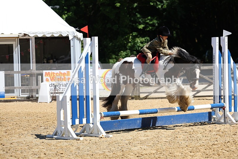 3E7A1961 - Class 2: 50cm