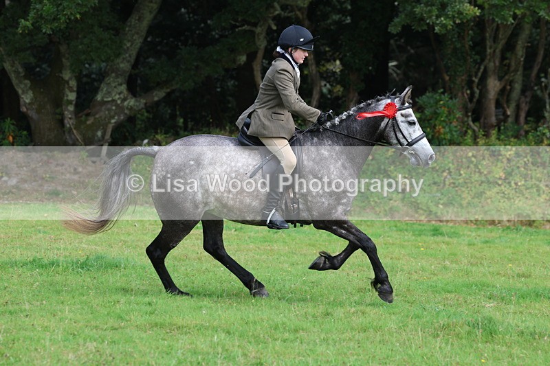 3E7A6133 - Working Hunter Championship