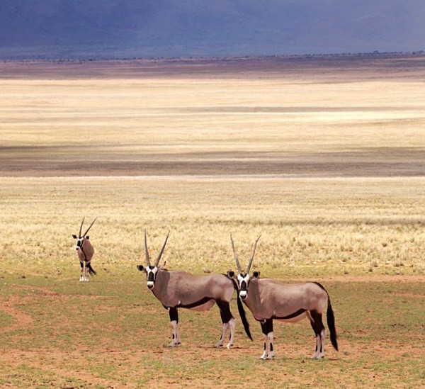  - Namibia