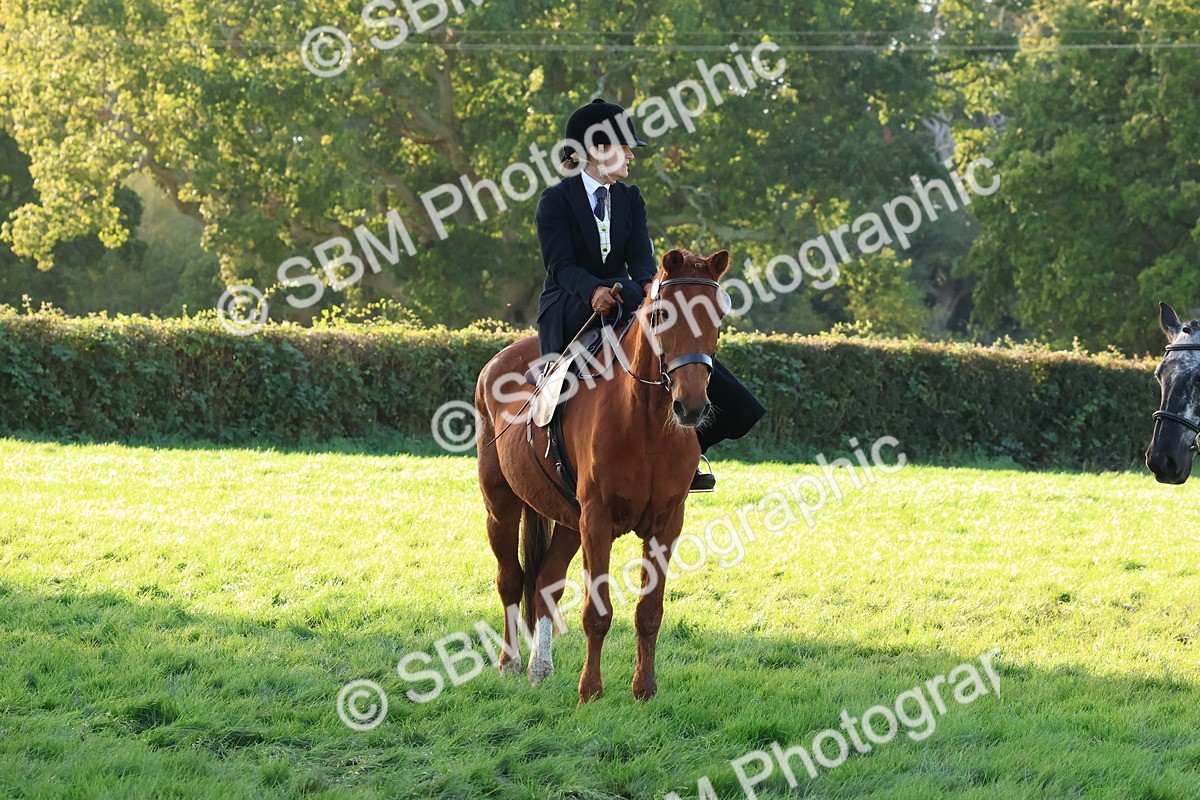 SBM_53086 - S29 - Mature Veteran Ridden