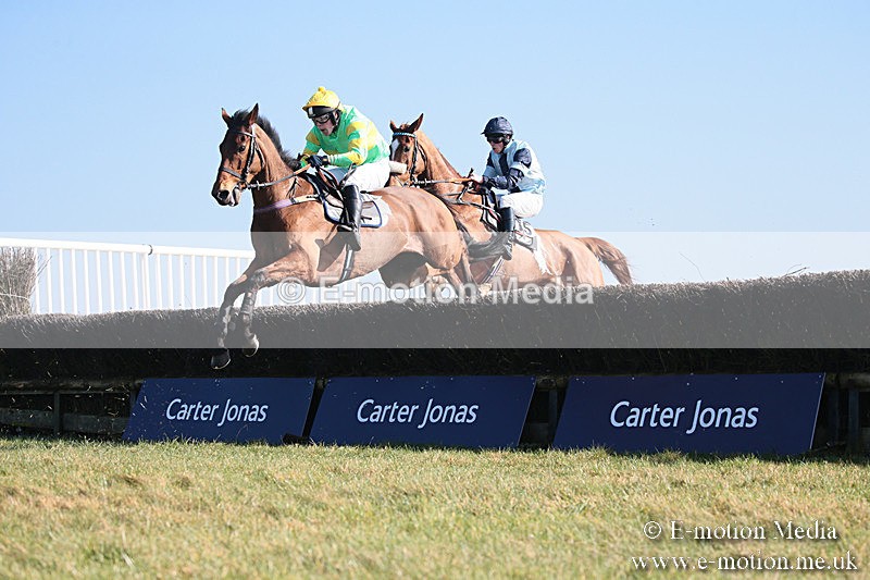 PtP 230219 298 - Vine & Craven Point-To-Point - Barbury 23/02/19