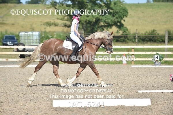 JAC_5241 - CLASS 28 My Quest U21 Novice Test 2 & 3