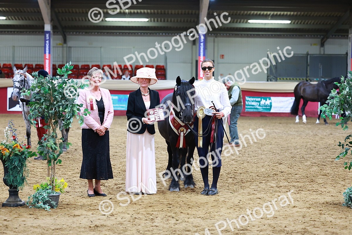 SBM_16288 - Class 901 - Sup Final - IH Diamond