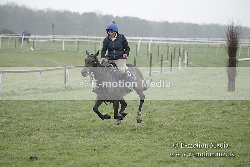 PtP 150320 0061 - New Forest Point-to-Point Larkhill 15/03/20