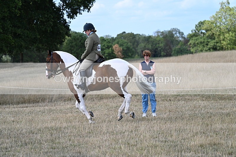 WJ7_6983 - Class 14 Ridden Coloured