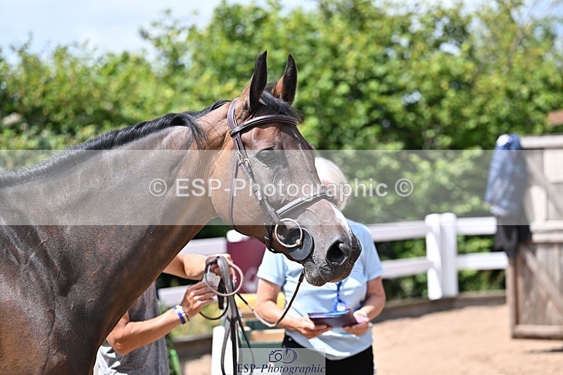 250716-125119-00201 - Trot Up 12.30 to 1.30