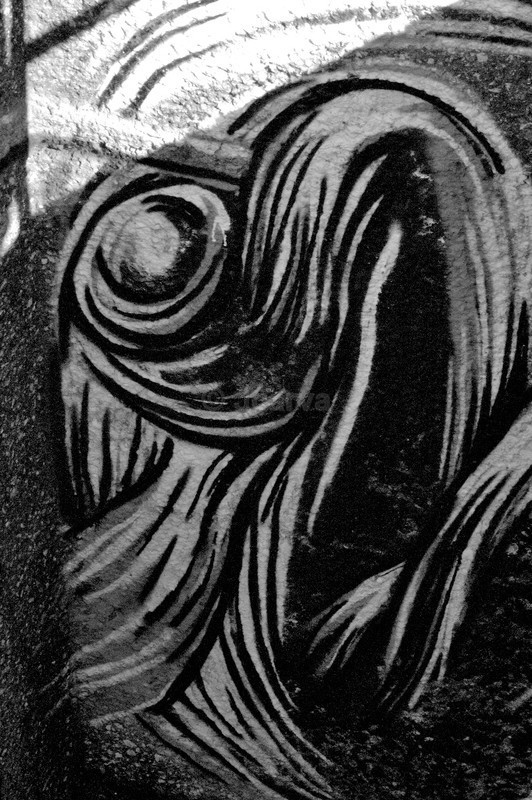 fish - B&W01