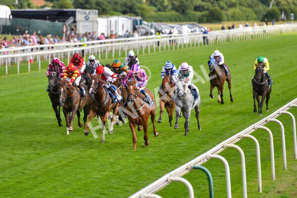 yr23072021r2-26 - Race 2 6.30pm IRE-Incentive It Pays To Buy Irish Stakes