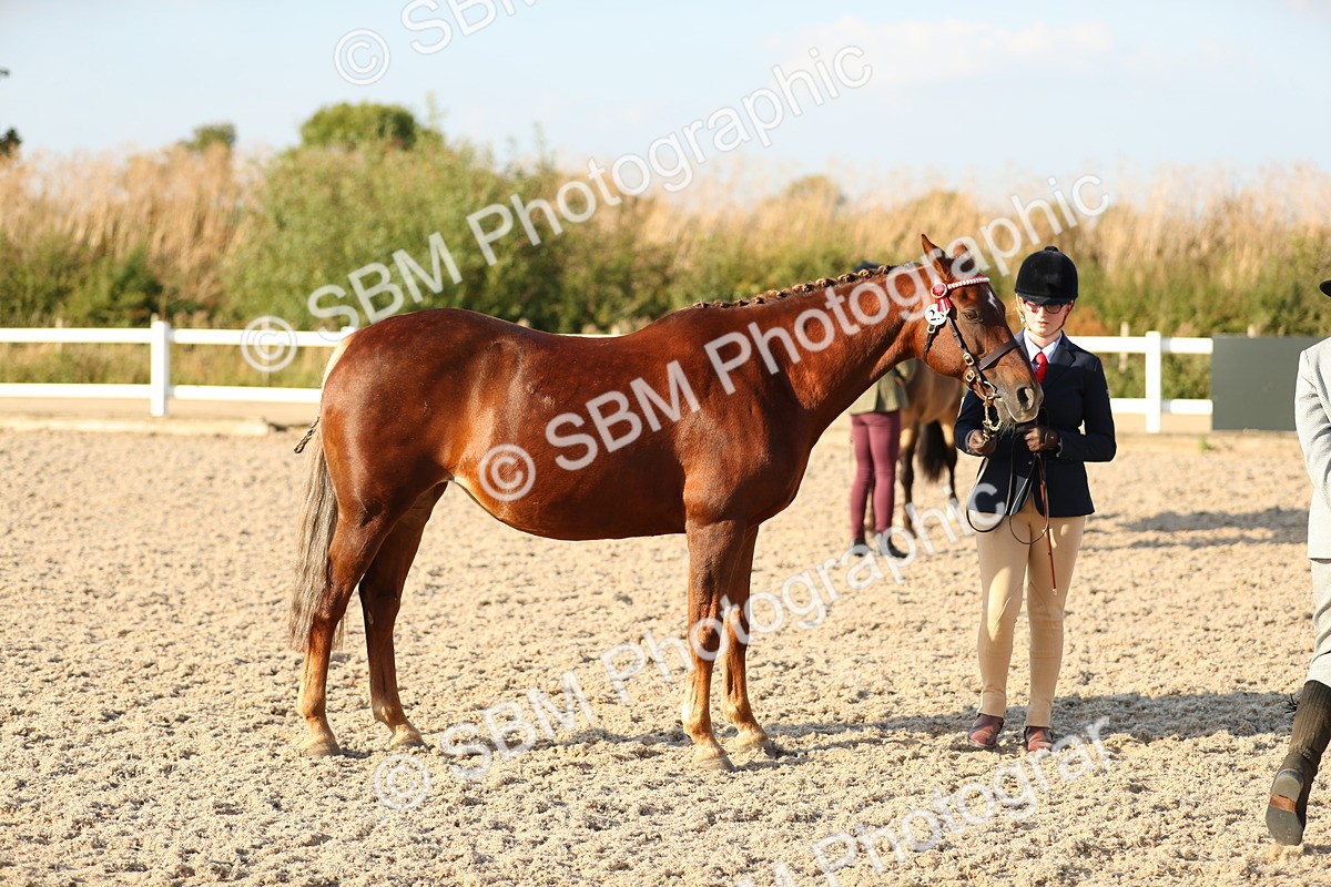 SBM_08974 - Class 29 IH Veteran Pony