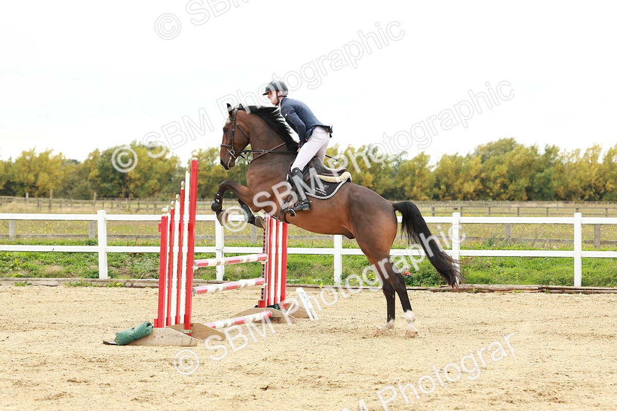 1I0A7016 - Class 2 - Senior British Novice