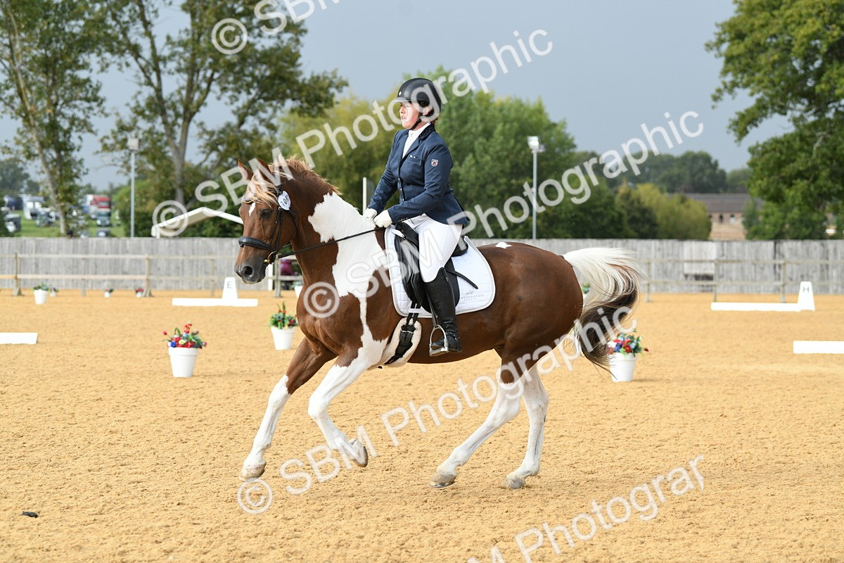 SBM_11089 - D28 Elementary Taster Elementary 42