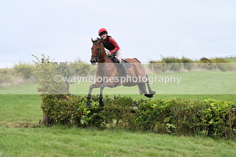 WJ7_9023 - Time 13:31 to 14:00