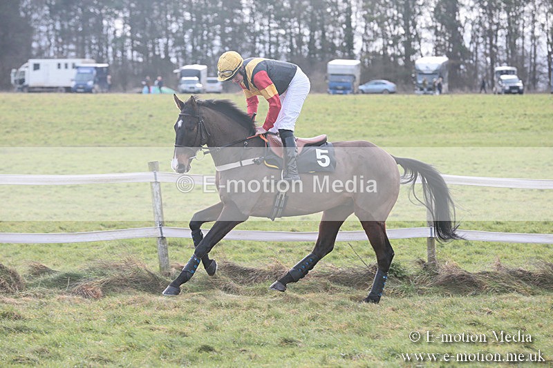 PtP 230119 3 - Royal Artillery Point-to-Point  - Larkhill  - 26/01/19