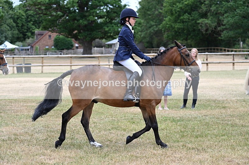 WJ7_0482 - Class 2 Best rider