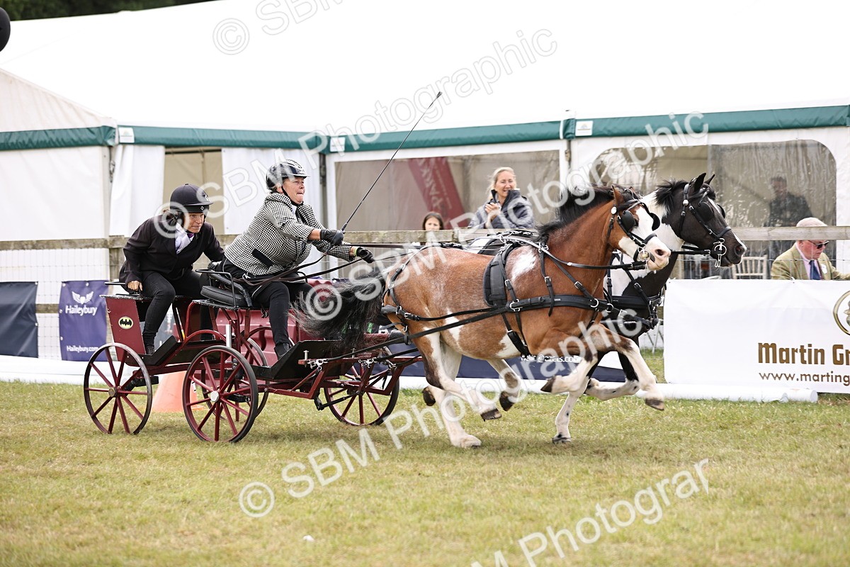 SBM_16030 - Class 91 - Scurry  exceeding 122cms
