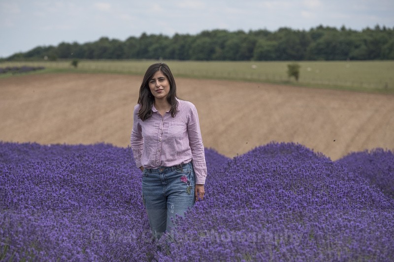 Lavender Blue - Britain and the British